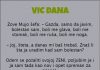VIC DANA: MUJO I ŠEF