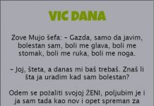 VIC DANA: MUJO I ŠEF
