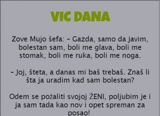 VIC DANA: MUJO I ŠEF