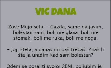 VIC DANA: MUJO I ŠEF