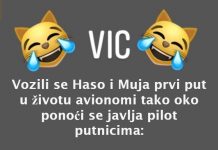 VIC DANA: Mujo i Haso u avionu