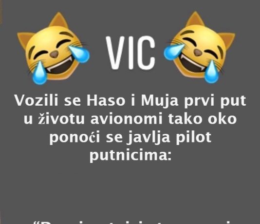 VIC DANA: Mujo i Haso u avionu
