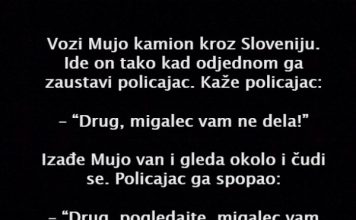 VIC DANA: Vozi Mujo kamion