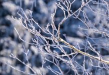 Stiže veliki preokret vremena: Evo kada će pasti snijeg, i to dolazi brže nego što očekujete! Stiže jače zahlađenje u BiH, oglasili se meteorolozi: Evo kad će pasti snijeg - featured image