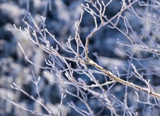 Stiže veliki preokret vremena: Evo kada će pasti snijeg, i to dolazi brže nego što očekujete! Stiže jače zahlađenje u BiH, oglasili se meteorolozi: Evo kad će pasti snijeg - featured image