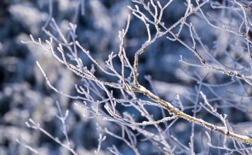 Stiže veliki preokret vremena: Evo kada će pasti snijeg, i to dolazi brže nego što očekujete! Stiže jače zahlađenje u BiH, oglasili se meteorolozi: Evo kad će pasti snijeg - featured image