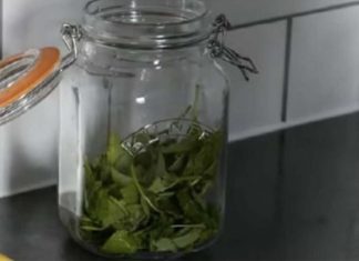 ČAJ OD OVE BILJKE SE PIJE PRED SPAVANJE: Uspavaće vas kao malu bebu i obrisati nervozu u sekundi – morate probati ČAJ OD OVE BILJKE SE PIJE PRED SPAVANJE: Uspavaće vas kao malu bebu i obrisati nervozu u sekundi – morate probati - featured image