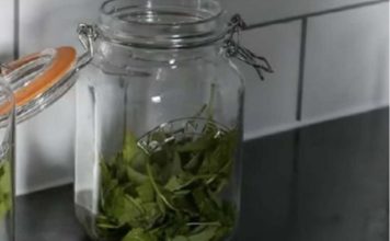 ČAJ OD OVE BILJKE SE PIJE PRED SPAVANJE: Uspavaće vas kao malu bebu i obrisati nervozu u sekundi – morate probati ČAJ OD OVE BILJKE SE PIJE PRED SPAVANJE: Uspavaće vas kao malu bebu i obrisati nervozu u sekundi – morate probati - featured image