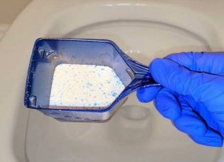 Sipajte u toalet i sačekajte 15 minuta: Domaći trik koji bi SVI trebali znati Sipajte u toalet i sačekajte 15 minuta: Domaći trik koji bi SVI trebali znati - featured image