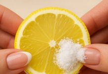 Umrla bih,a ne bih znala: Stavite SO na limun i nikad nećete imati ovaj problem! Umrla bih,a ne bih znala: Stavite SO na limun i nikad nećete imati ovaj problem! - featured image