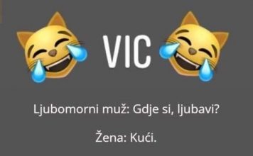 VIC DANA: Ljubomorni muž i blender
