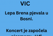 VIC DANA: Koncert Lepe Brene