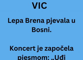 VIC DANA: Koncert Lepe Brene