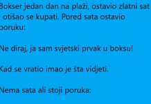 VIC DANA: Bokser na plaži