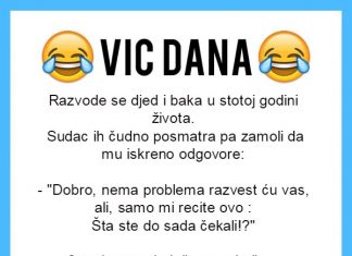 VIC DANA: Razvod u stotoj