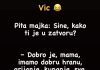 VIC DANA : Sin u zatvoru