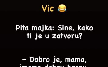 VIC DANA : Sin u zatvoru