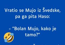 VIC DANA: Vratio se Mujo iz Švedske