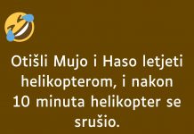 VIC DANA: Mujo i Haso u helikopteru