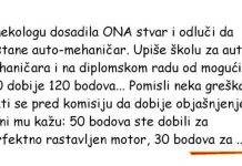 VIC DANA: Ginekolog odlučio da postane automehaničar