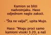 VIC DANA: Kamiondžije