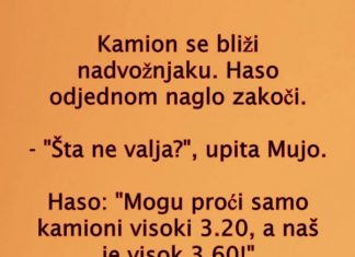 VIC DANA: Kamiondžije