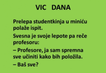 VIC DANA: Studentkinja u minjaku