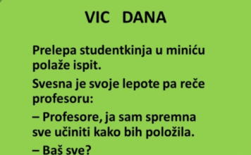 VIC DANA: Studentkinja u minjaku