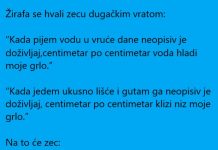 Vic dana: Žirafa i zec