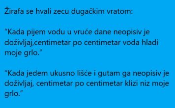 Vic dana: Žirafa i zec