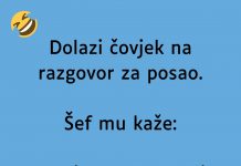 VIC DANA: Dolazi čovjek na razgovor za posao