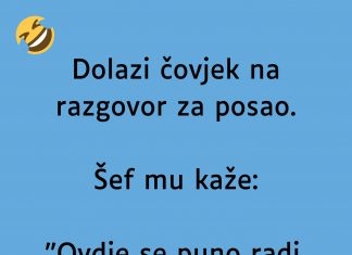 VIC DANA: Dolazi čovjek na razgovor za posao