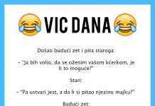 VIC DANA: Zet i punac
