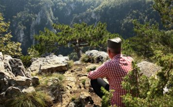 STARA NARODNA VEROVANJA I LJUBAVNE ČINI Kad zaigra brada, neko dolazi, tuđa mačka sreću donosi! (FOTO/VIDEO) STARA NARODNA VEROVANJA I LJUBAVNE ČINI Kad zaigra brada, neko dolazi, tuđa mačka sreću donosi! (FOTO/VIDEO) - featured image