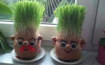 Ako se božićna pšenica P0SADI NA 0VAJ DAN, kuća će biti blagoslovena cijele godine- URADITE TO NA VREME… Ako se božićna pšenica P0SADI NA 0VAJ DAN, kuća će biti blagoslovena cijele godine- URADITE TO NA VREME… - featured image