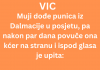 VIC DANA: Mujo i njegova punica
