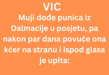 VIC DANA: Mujo i njegova punica