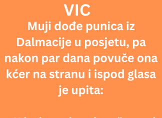 VIC DANA: Mujo i njegova punica