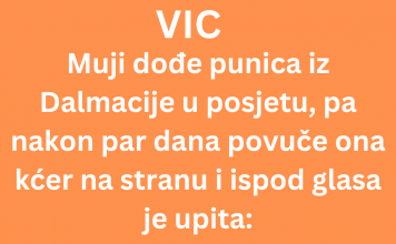 VIC DANA: Mujo i njegova punica