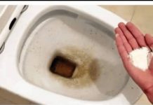 Zaboravite OCAT: Ovaj puder iz kuhinje čisti toalet za par minuta – bez kamenca, žutih mrlja i mirisa! Zaboravite OCAT: Ovaj puder iz kuhinje čisti toalet za par minuta – bez kamenca, žutih mrlja i mirisa! - featured image