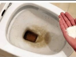 Zaboravite OCAT: Ovaj puder iz kuhinje čisti toalet za par minuta – bez kamenca, žutih mrlja i mirisa! Zaboravite OCAT: Ovaj puder iz kuhinje čisti toalet za par minuta – bez kamenca, žutih mrlja i mirisa! - featured image