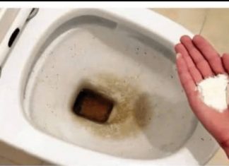 Zaboravite OCAT: Ovaj puder iz kuhinje čisti toalet za par minuta – bez kamenca, žutih mrlja i mirisa! Zaboravite OCAT: Ovaj puder iz kuhinje čisti toalet za par minuta – bez kamenca, žutih mrlja i mirisa! - featured image