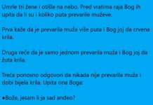 VIC DANA: Umrle tri žene i otišle na nebo