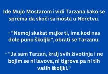 VIC DANA: Ide Mujo Mostarom