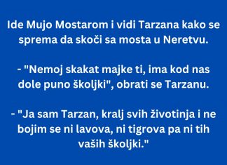 VIC DANA: Ide Mujo Mostarom