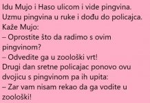 VIC DANA: Pingvin