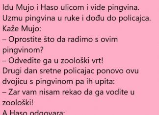 VIC DANA: Pingvin