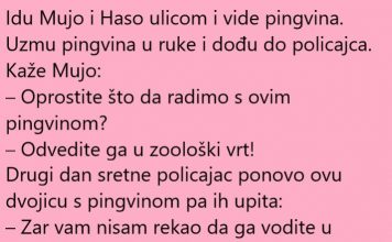 VIC DANA: Pingvin