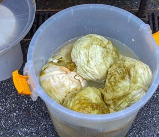 Ako se uhvati bijela skrama morate ga baciti? 3 najčešće greške zbog kojih se kiseli kupus pokvari Ako se uhvati bijela skrama morate ga baciti? 3 najčešće greške zbog kojih se kiseli kupus pokvari - featured image