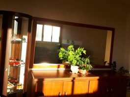 15 stvari u kući koje su magnet za sreću: Naše bake su verovale da ovo svaka kuća treba da ima 15 stvari u kući koje su magnet za sreću: Naše bake su verovale da ovo svaka kuća treba da ima - featured image